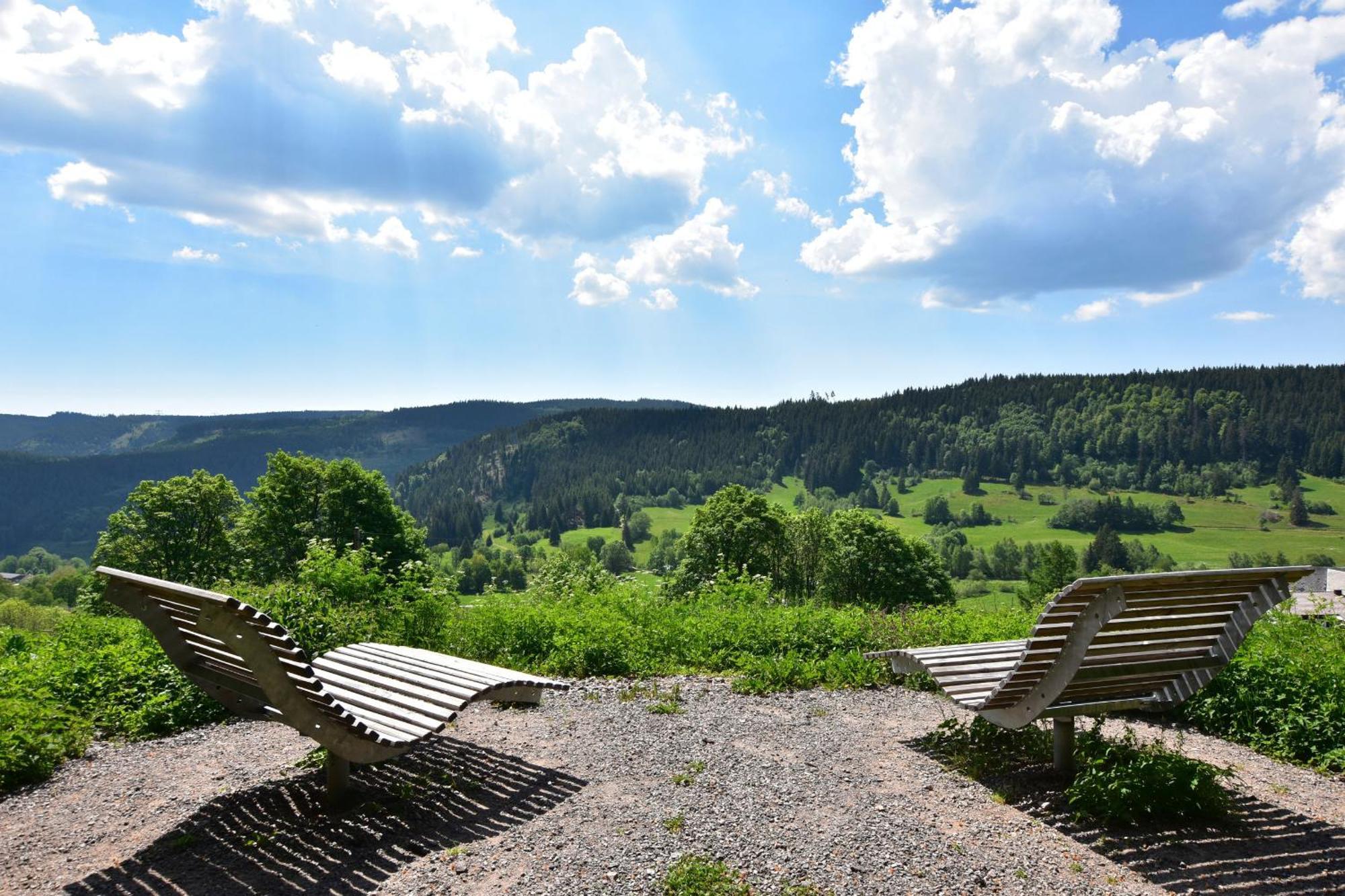 Schwarzwaldhaus Krebs - Villa Kunterbunt, Lenzkirch, Feldberg Eksteriør billede